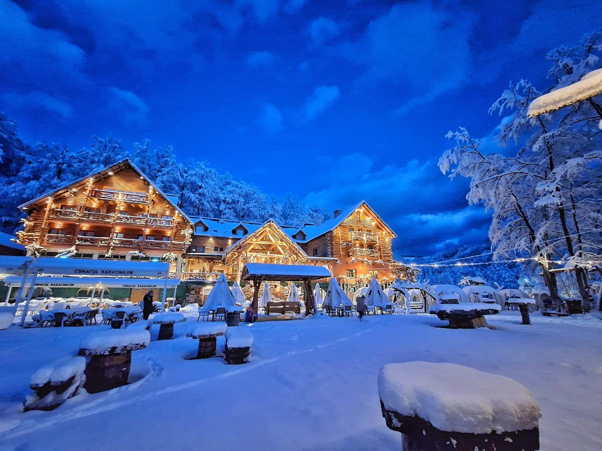 Conacul Radacinilor Hotel เปโตรชานิ ภายนอก รูปภาพ