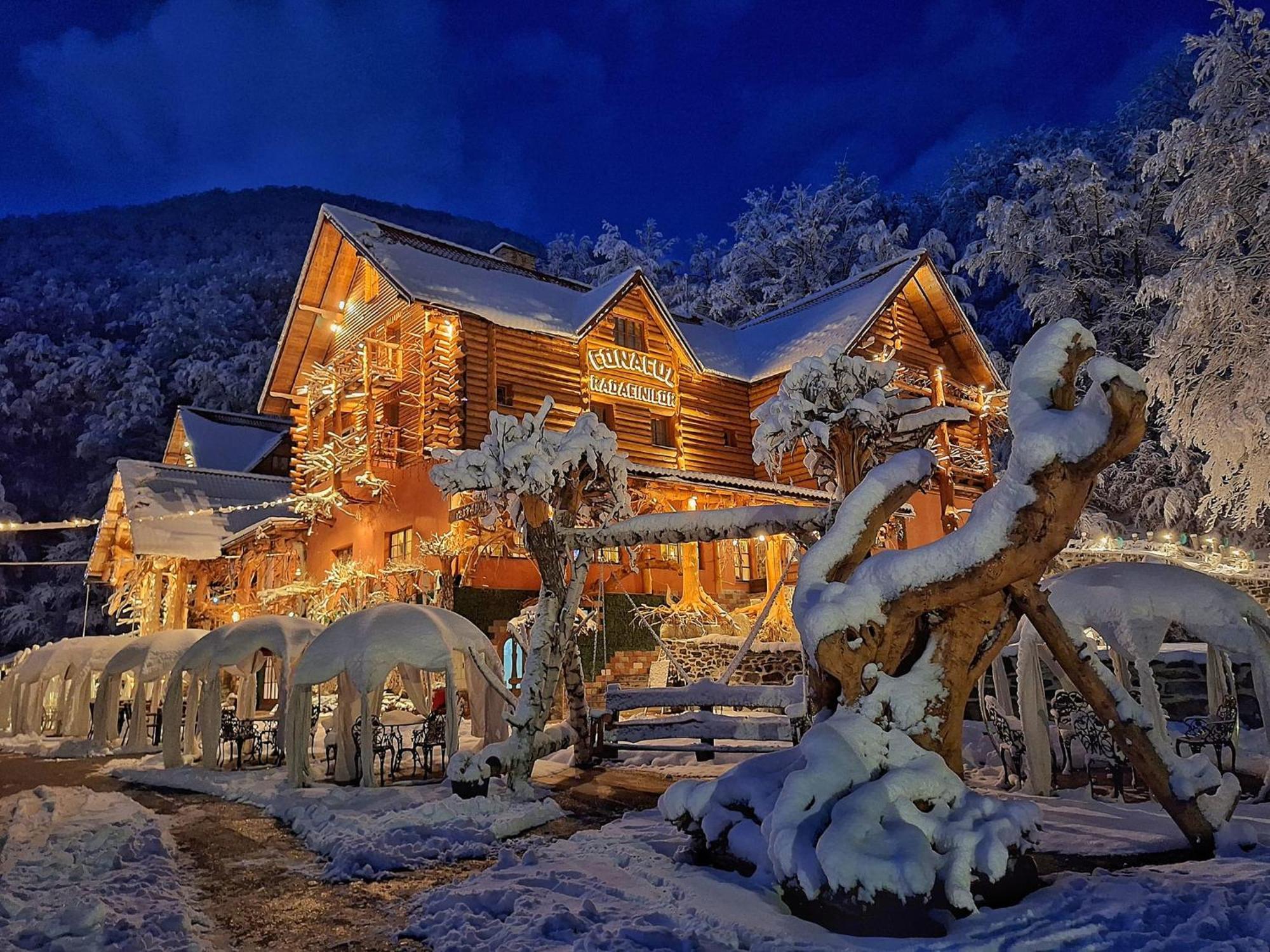 Conacul Radacinilor Hotel เปโตรชานิ ภายนอก รูปภาพ